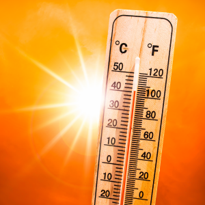 A thermometer raised to the sky against a blazing sun. The temperature reading is 110 degrees Fahrenheit.
